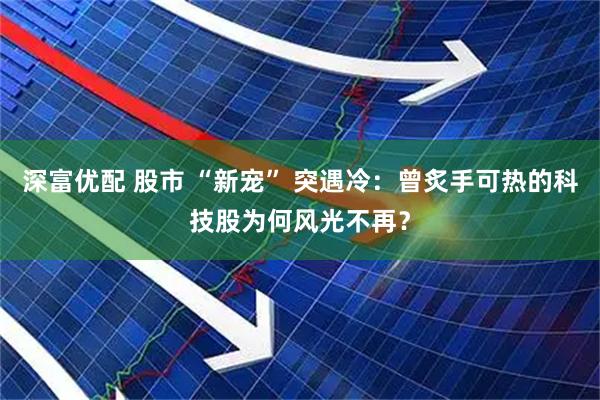 深富优配 股市 “新宠” 突遇冷：曾炙手可热的科技股为何风光不再？