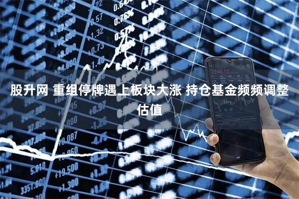 股升网 重组停牌遇上板块大涨 持仓基金频频调整估值