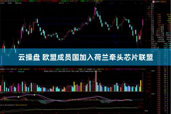 云操盘 欧盟成员国加入荷兰牵头芯片联盟