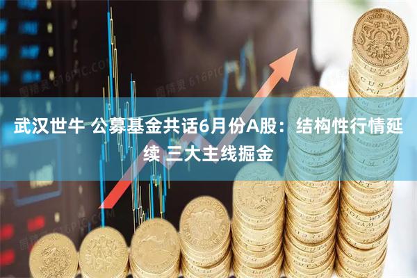 武汉世牛 公募基金共话6月份A股:结构性行情延续 三大主线掘金