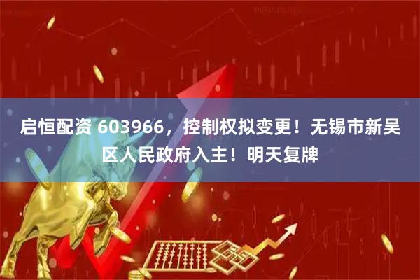 启恒配资 603966,控制权拟变更!无锡市新吴区人民政府入主!明天复牌