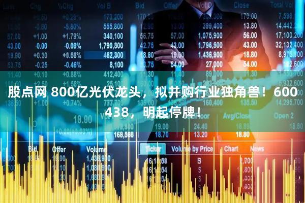 股点网 800亿光伏龙头，拟并购行业独角兽！600438，明起停牌！