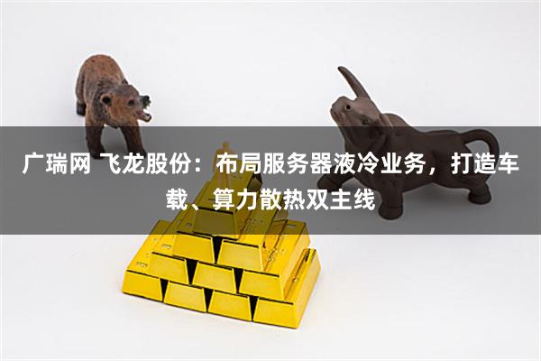 广瑞网 飞龙股份：布局服务器液冷业务，打造车载、算力散热双主线